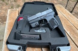 Sig Sauer P290RS 9MM Laser