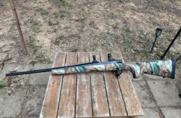 Howa Model 1500 22-250 REM