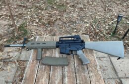 PSA Palmetto State PA15 A2 5.56 Nato