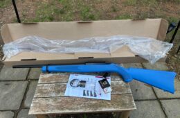 Ruger 10/22 22LR Blue 31210