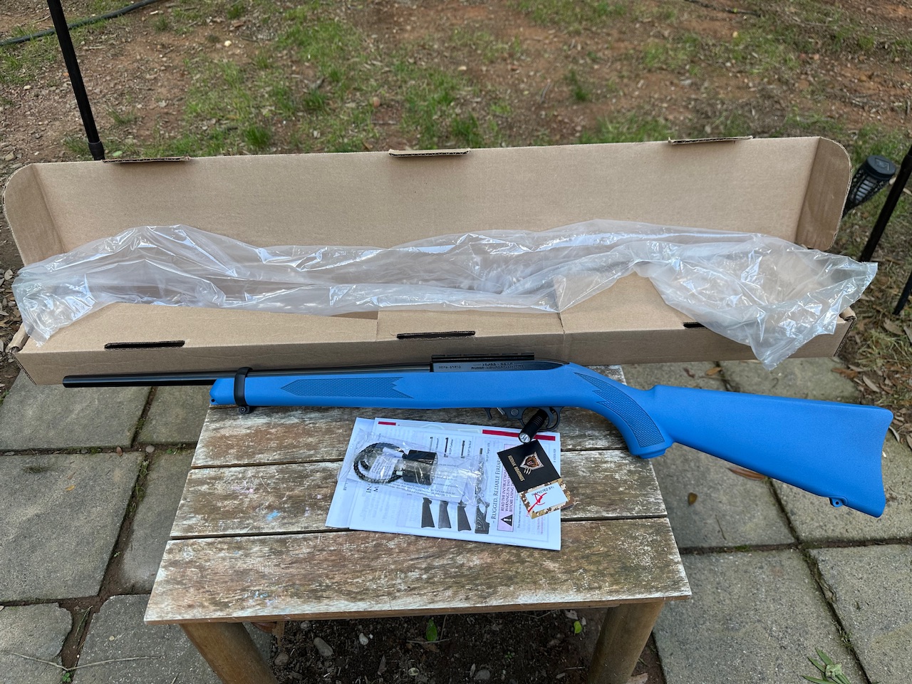 Ruger 10/22 22LR Blue 31210