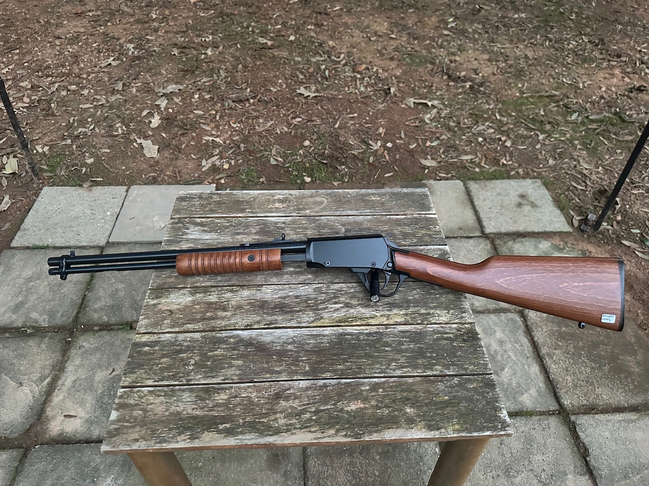 Rossi Gallery 22LR Pump