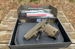 Kimber Micro 9 Desert 9MM