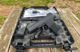 Sig Sauer P365 9MM