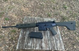 Armalite AR10 308WIN