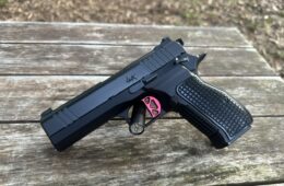 Dan Wesson DWX 9MM