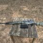 Springfield M1A 308WIN