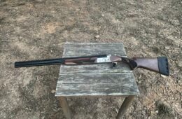 Pointer Acrius Compact 20Ga