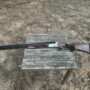 Pointer Acrius Compact 20Ga