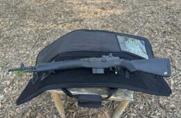 Springfield M1A Scout Squad 308WIN